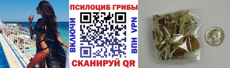 Псилоцибиновые грибы мицелий  Купить закладки  Мценск 